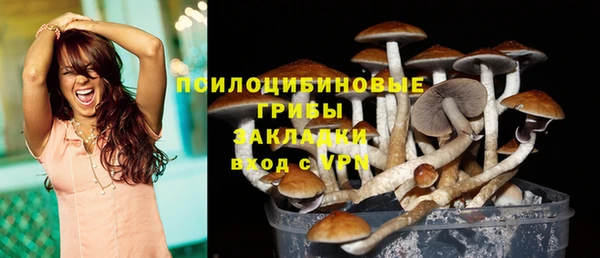 стафф Горнозаводск