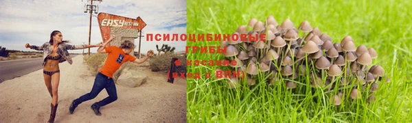 герыч Горняк