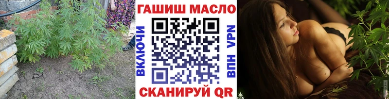 blacksprut онион  Пересвет  ТГК концентрат 