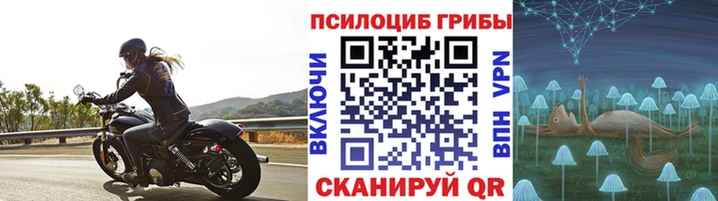 Галлюциногенные грибы мицелий Пересвет